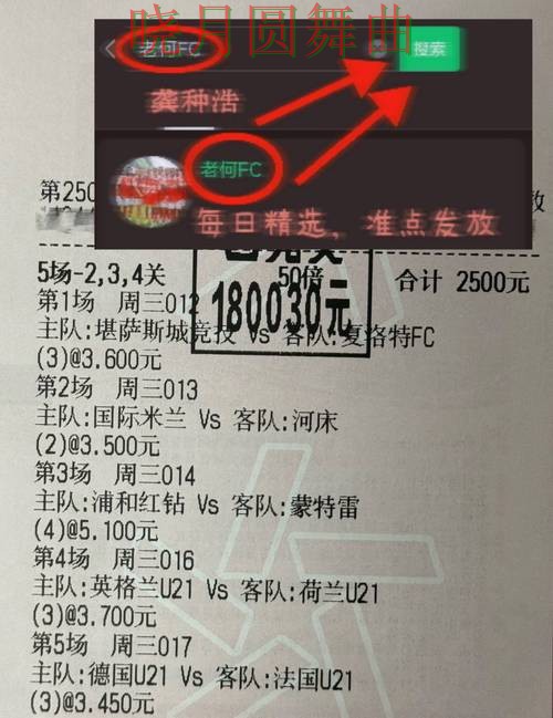 世界杯投注网站入口在哪里查看一文看懂